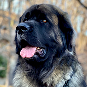 Lowen | Doylestown Health