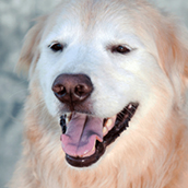 Nilla | Doylestown Health