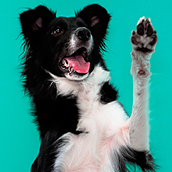 Zip | Doylestown Health