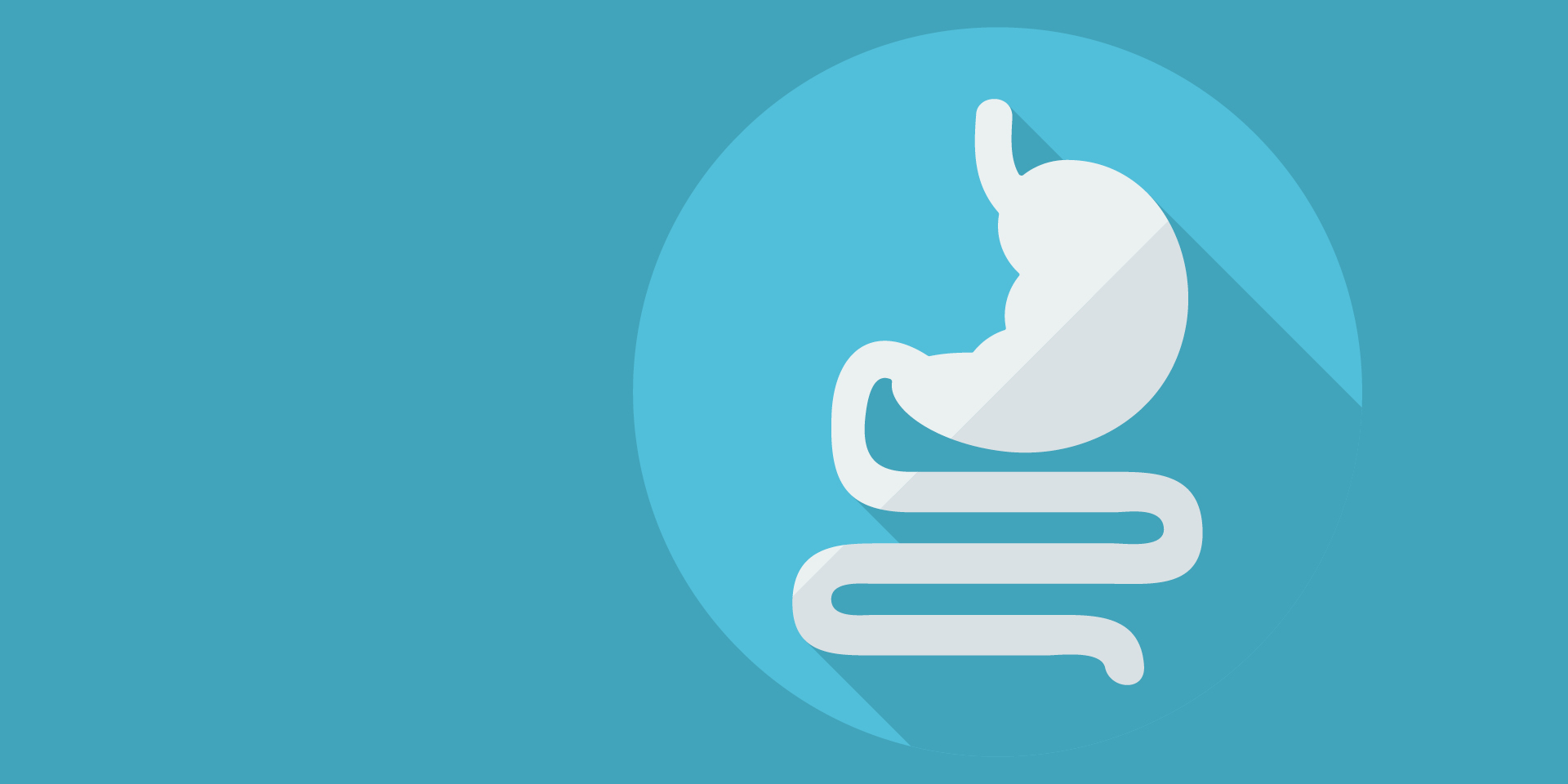 Vector image of stomach and intestine